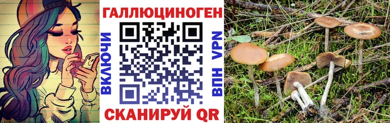 Галлюциногенные грибы Magic Shrooms  блэк спрут как зайти  Приволжский 